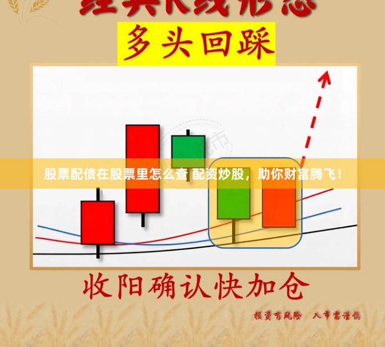 股票配债在股票里怎么查 配资炒股，助你财富腾飞！