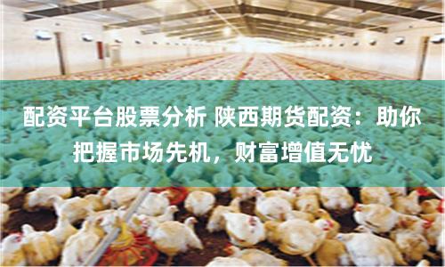 配资平台股票分析 陕西期货配资：助你把握市场先机，财富增值无忧